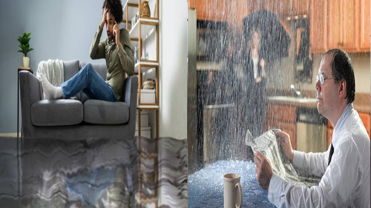 Flood Restoration