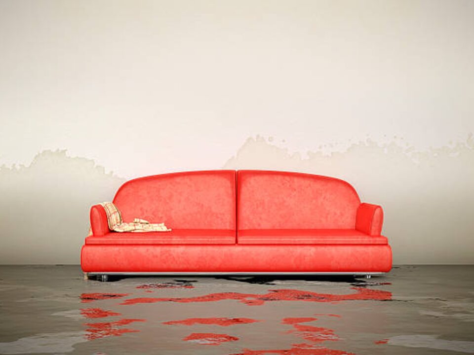 Flood Restoration